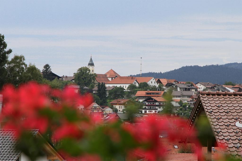 Pension Anderl Bodenmais Kültér fotó